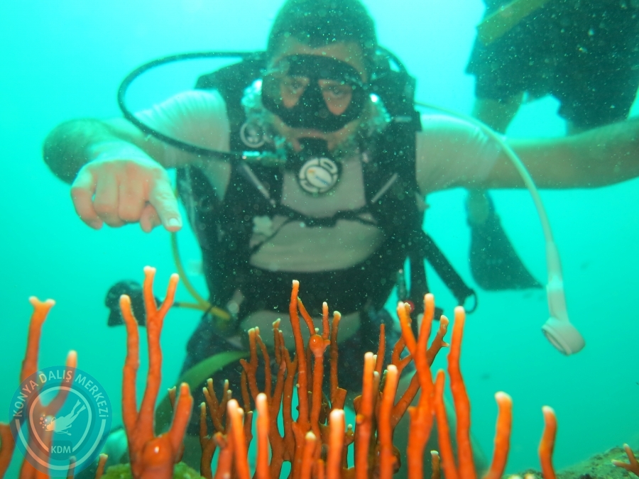 09 - 17 Nisan PHUKET