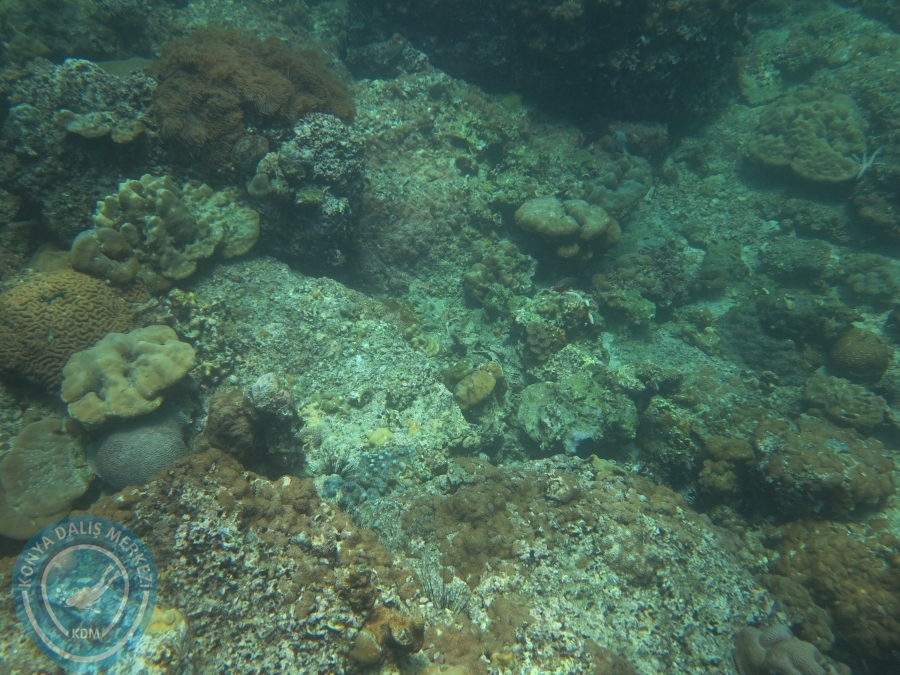 09 - 17 Nisan PHUKET