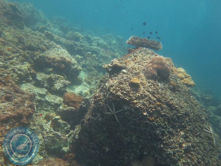 09 - 17 Nisan PHUKET