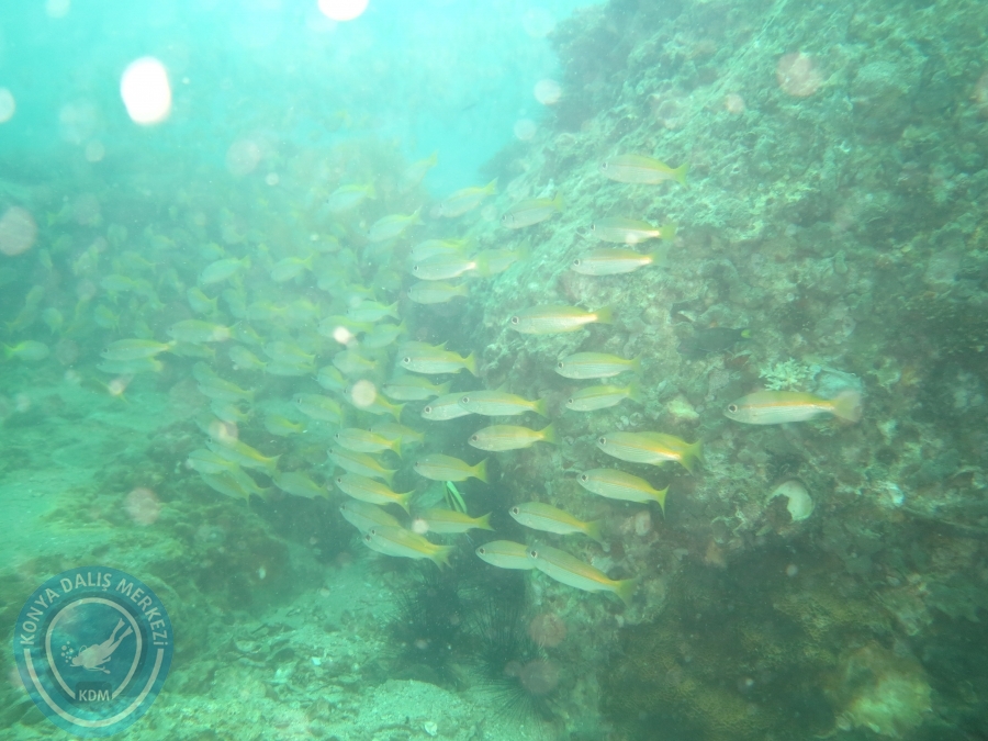 09 - 17 Nisan PHUKET