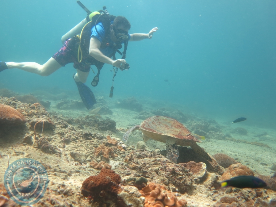 09 - 17 Nisan PHUKET