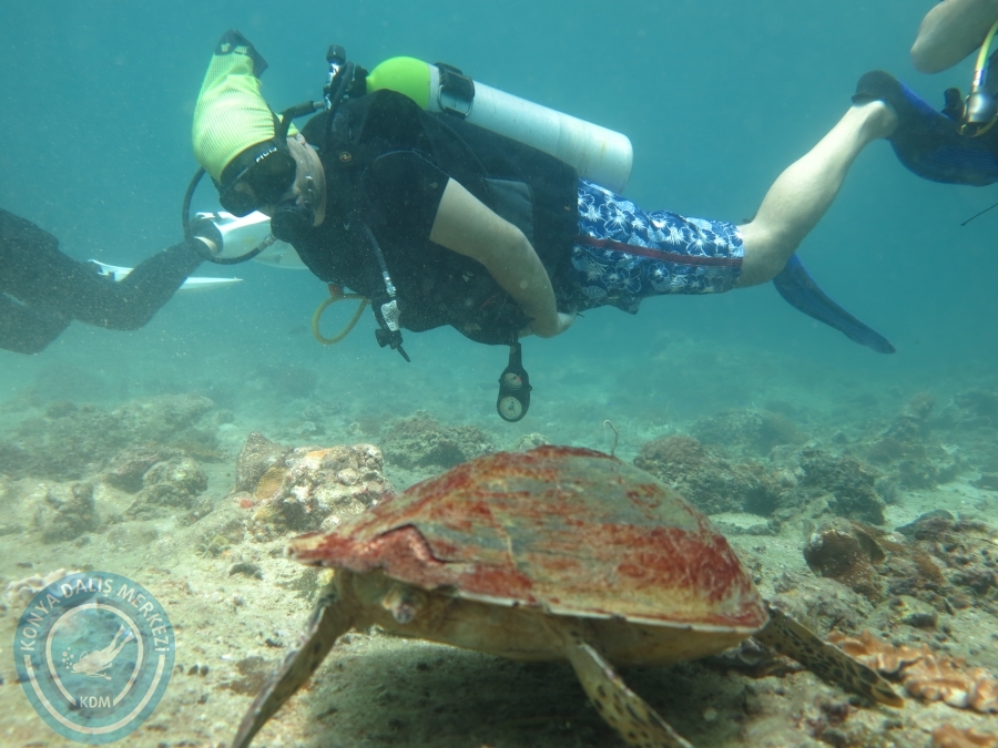 09 - 17 Nisan PHUKET