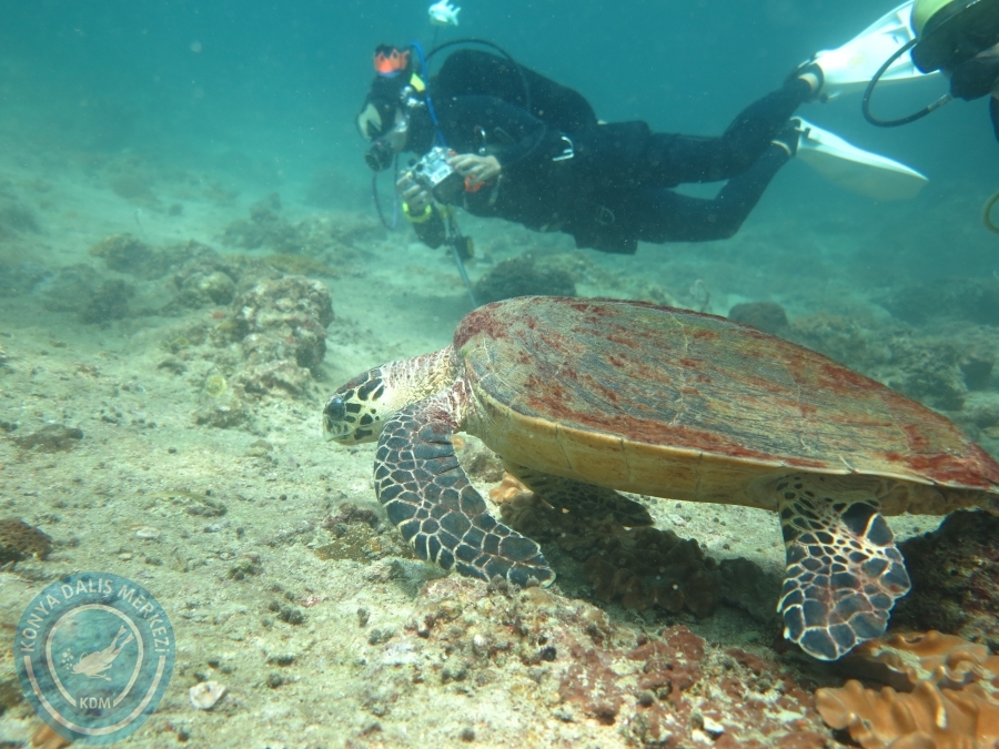 09 - 17 Nisan PHUKET