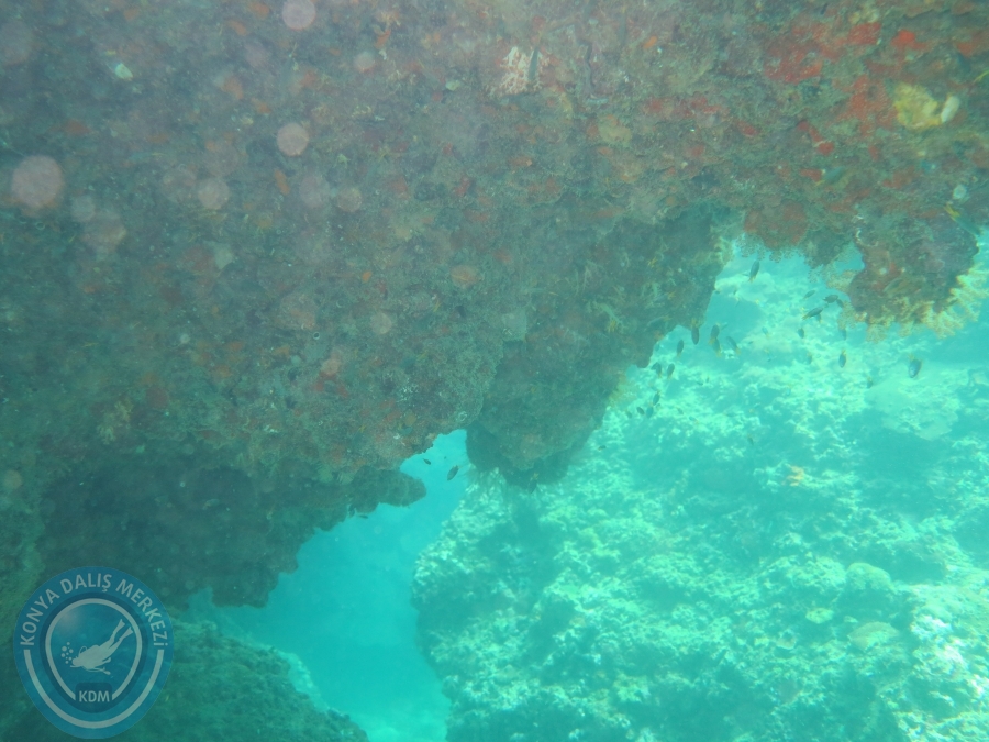 09 - 17 Nisan PHUKET