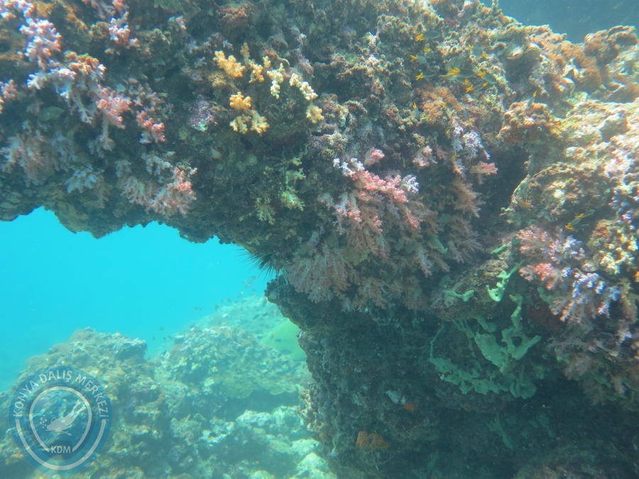 09 - 17 Nisan PHUKET