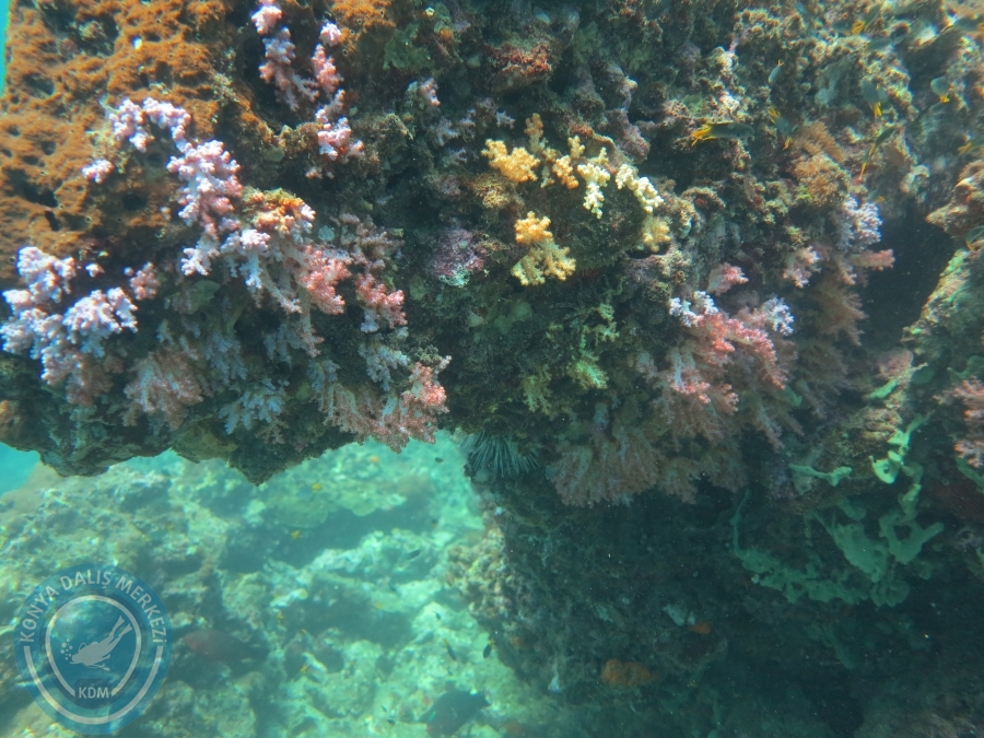 09 - 17 Nisan PHUKET