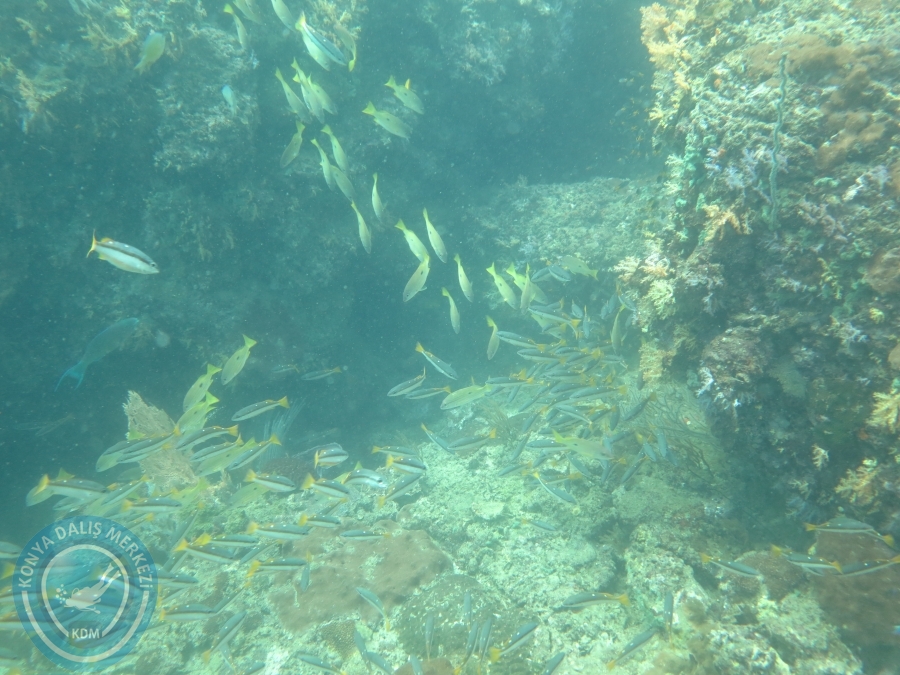 09 - 17 Nisan PHUKET