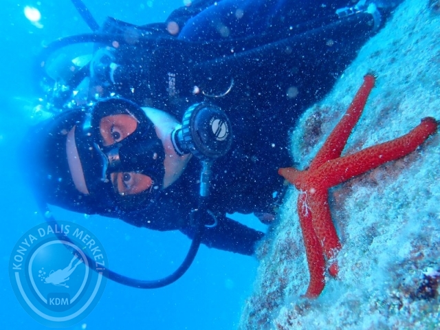 10-11 Ekim FETHİYE