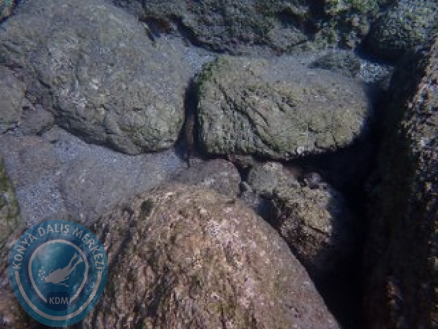 10-11 Ekim Marmaris