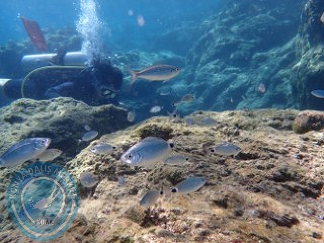 10-11 Ekim Marmaris