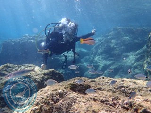 10-11 Ekim Marmaris