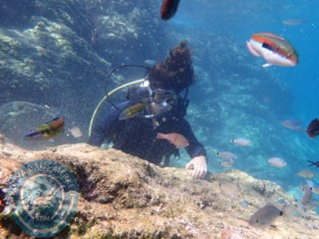 10-11 Ekim Marmaris