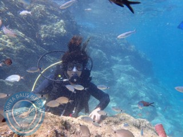 10-11 Ekim Marmaris