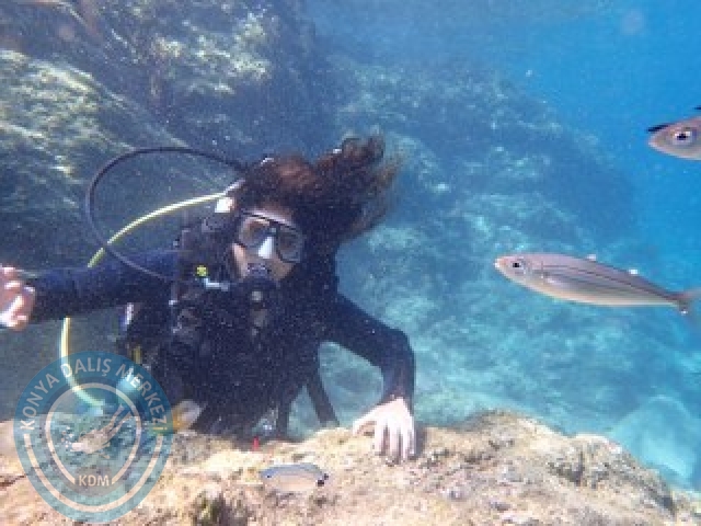10-11 Ekim Marmaris
