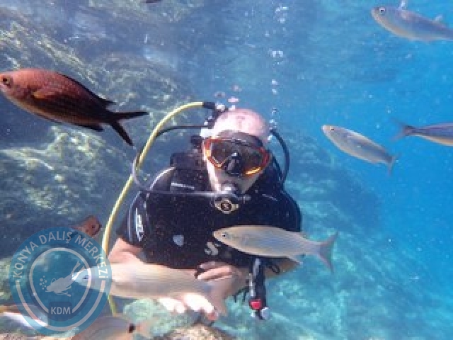 10-11 Ekim Marmaris