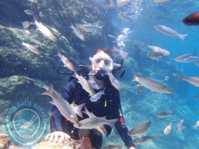 10-11 Ekim Marmaris