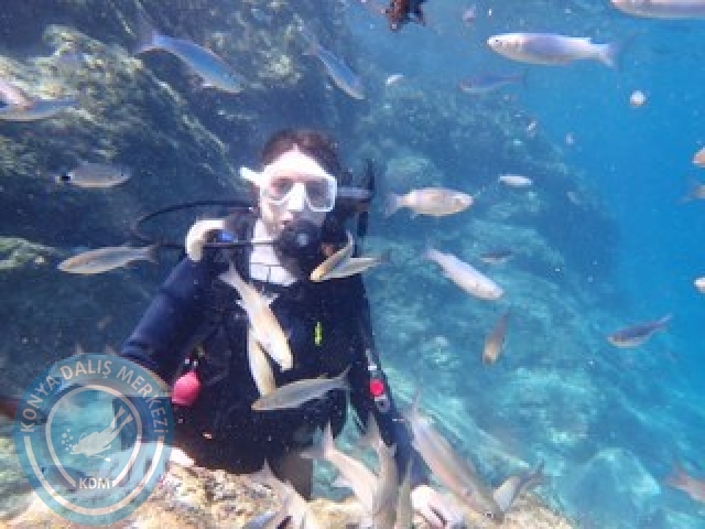 10-11 Ekim Marmaris