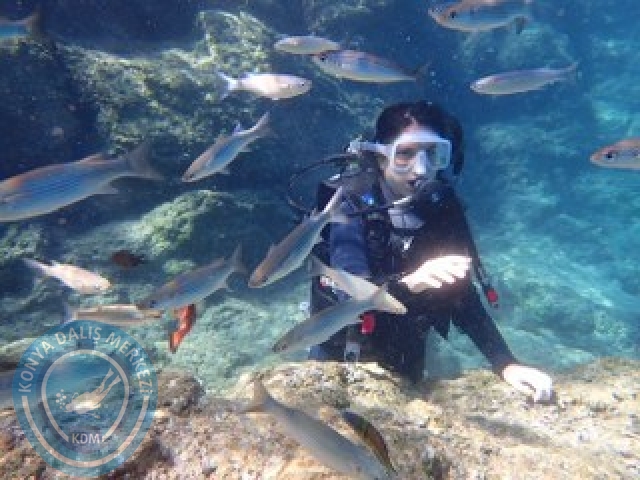 10-11 Ekim Marmaris