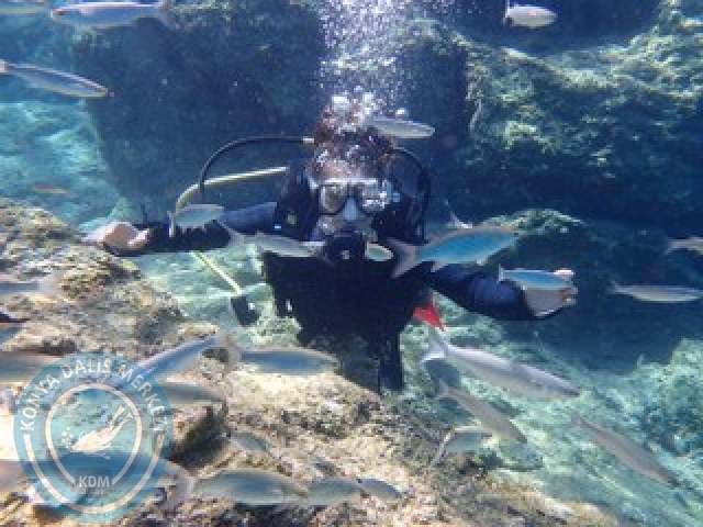 10-11 Ekim Marmaris