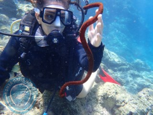 10-11 Ekim Marmaris