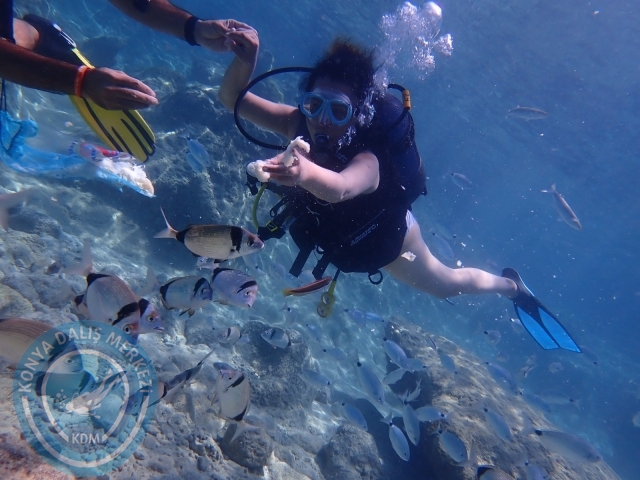 10-11 Temmuz Kemer
