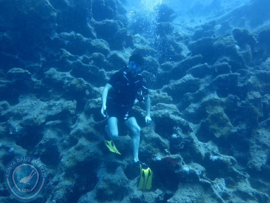 11-12 Ağustos 2018 DALYAN