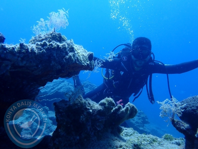 11-12 Eylül Bodrum