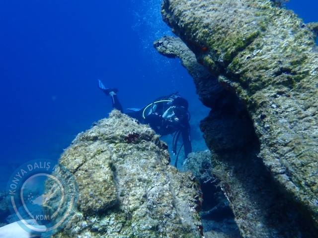 11-12 Eylül Bodrum