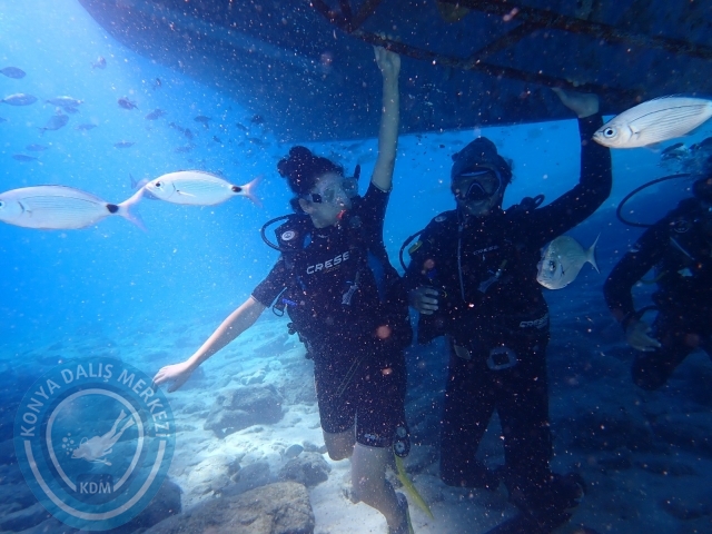 11-12 Eylül Bodrum