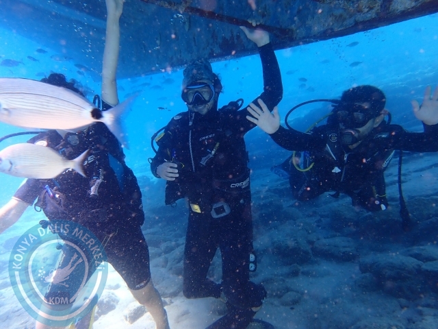 11-12 Eylül Bodrum