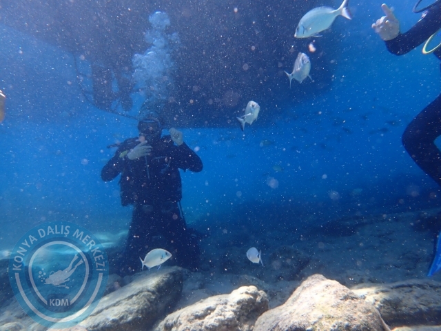 11-12 Eylül Bodrum