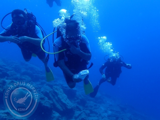 11-12 Eylül Bodrum