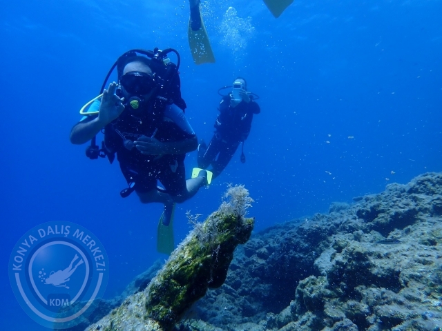 11-12 Eylül Bodrum