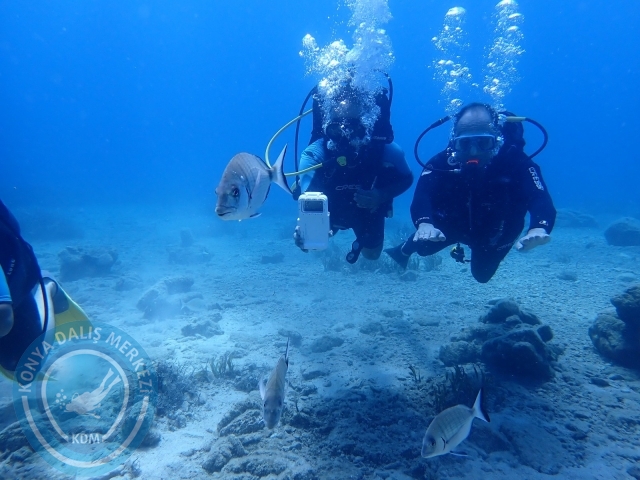 11-12 Eylül Bodrum