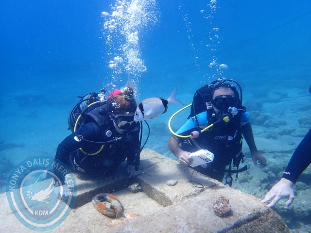 11-12 Eylül Bodrum