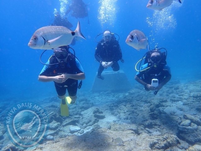 11-12 Eylül Bodrum