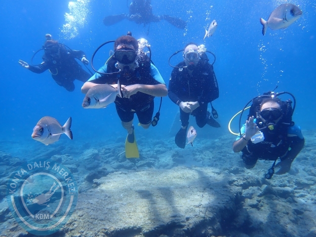 11-12 Eylül Bodrum