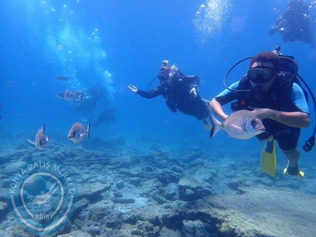 11-12 Eylül Bodrum