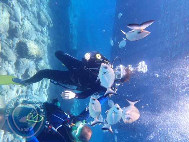 11-12 Eylül Bodrum