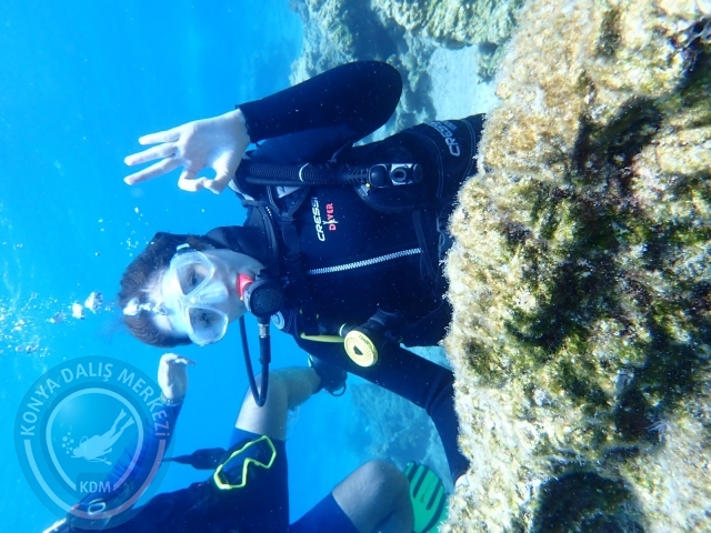 11-12 Eylül Bodrum