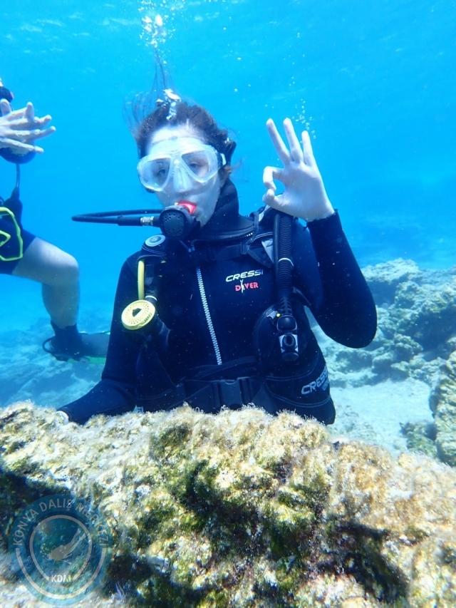 11-12 Eylül Bodrum