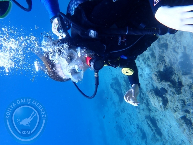 11-12 Eylül Bodrum