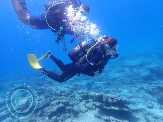 11-12 Eylül Bodrum