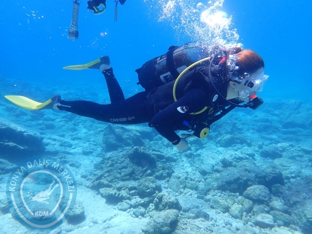 11-12 Eylül Bodrum