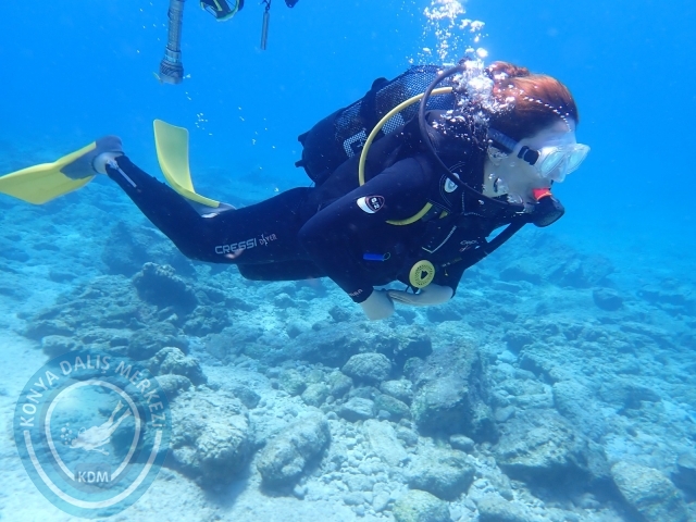 11-12 Eylül Bodrum