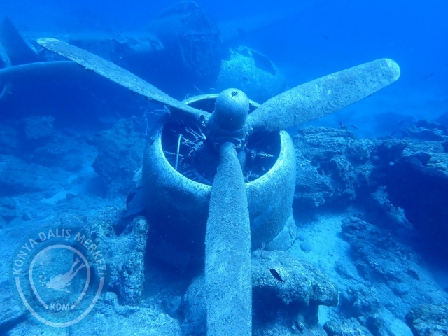 11-12 Eylül Bodrum