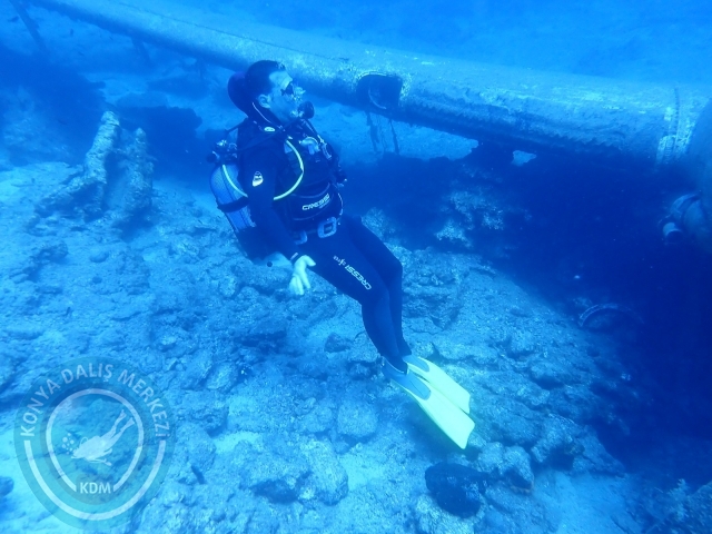 11-12 Eylül Bodrum