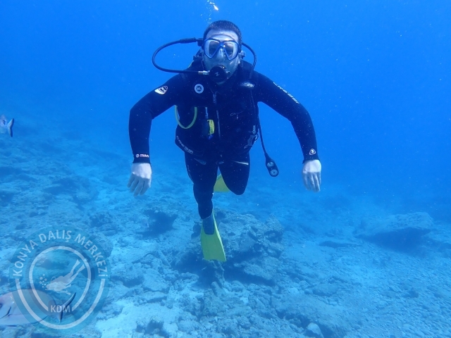 11-12 Eylül Bodrum