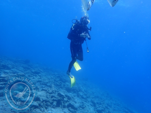 11-12 Eylül Bodrum
