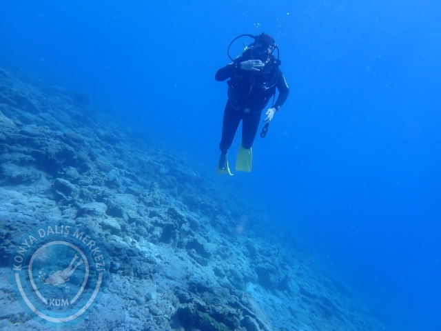 11-12 Eylül Bodrum